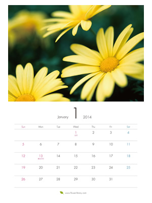 2014年1月 A4 花のカレンダー2014年度版を無料ダウンロード | フラワーライブラリー