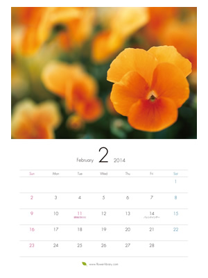 2014年2月 A4 花のカレンダー2014年度版を無料ダウンロード | フラワーライブラリー