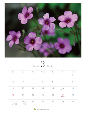 2014年3月 A4 花のカレンダー2014年度版を無料ダウンロード | フラワーライブラリー