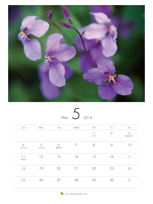 2014年5月 A4 花のカレンダー2014年度版を無料ダウンロード | フラワーライブラリー