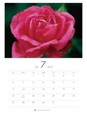 2014年7月 A4 花のカレンダー2014年度版を無料ダウンロード | フラワーライブラリー