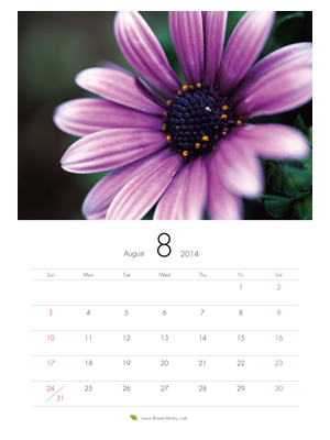 2014年8月 A4 花のカレンダー2014年度版を無料ダウンロード | フラワーライブラリー