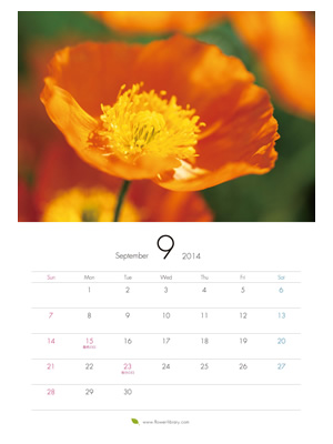 2014年9月 A4 花のカレンダー2014年度版を無料ダウンロード | フラワーライブラリー