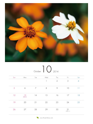 2014年10月 A4 花のカレンダー2014年度版を無料ダウンロード | フラワーライブラリー