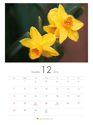 2014年12月 A4 花のカレンダー2014年度版を無料ダウンロード | フラワーライブラリー