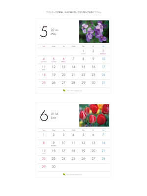 2014年5-6月 卓上 花のカレンダー2014年度版を無料ダウンロード | フラワーライブラリー
