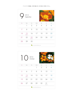 2014年9-10月 卓上 花のカレンダー2014年度版を無料ダウンロード | フラワーライブラリー