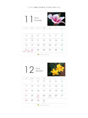 2014年11-12月 卓上 花のカレンダー2014年度版を無料ダウンロード | フラワーライブラリー