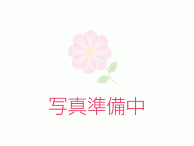 花画像